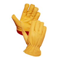 IL-1101-removebg-preview